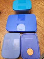 Tupperware 3 Behälter flach,  + einmal 7.5cm höhe