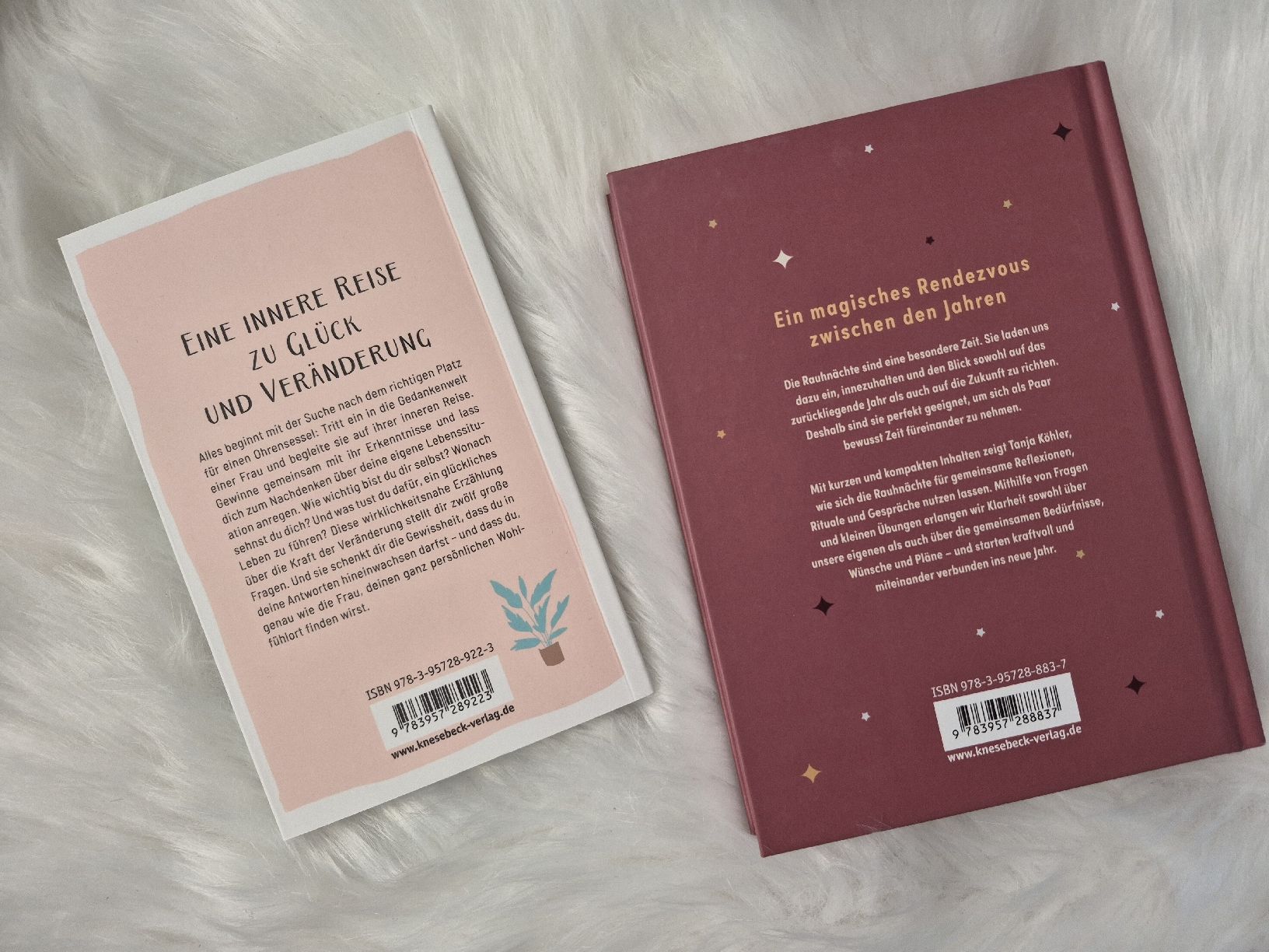 Libri: Tanja Köhler, zwei Bücher im Set – Usato da Altdorf SH venduto da MR2509 1