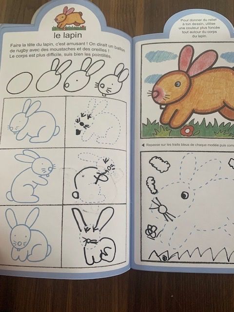 Libri: Tiere malen lernen Malhefte / Hefte – Usato da Beromünster venduto da msklef 8