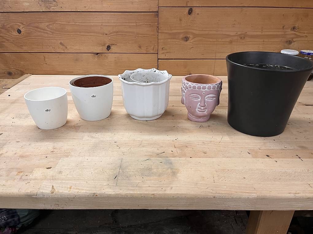 Vasi per fiori: Diverse Blumentöpfe  – Usato da Güttingen venduto da sab_vg9p 1