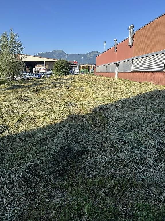 Mangimi: Heu getrocknet abzugeben – Usato da Rheineck venduto da Felbus