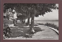 NEUCHÂTEL - Quai Osterwald - 1956
