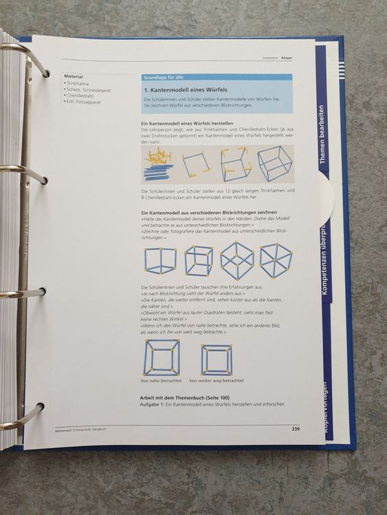 LMVZ Mathematik Primarstufe 5.Klasse - Handbuch | Kaufen Auf Ricardo