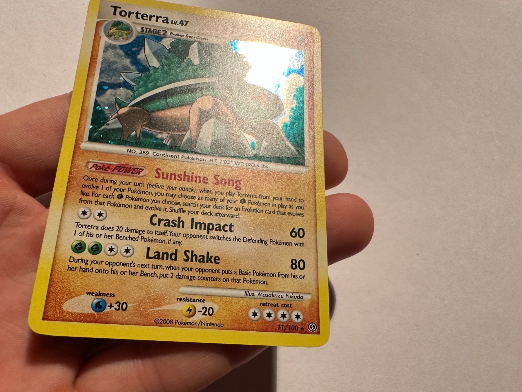 Pokémon Carte collezionabili: Torterra holo D&P Stormfront EN – Usato da Hagendorn venduto da Pokecollectorch 1