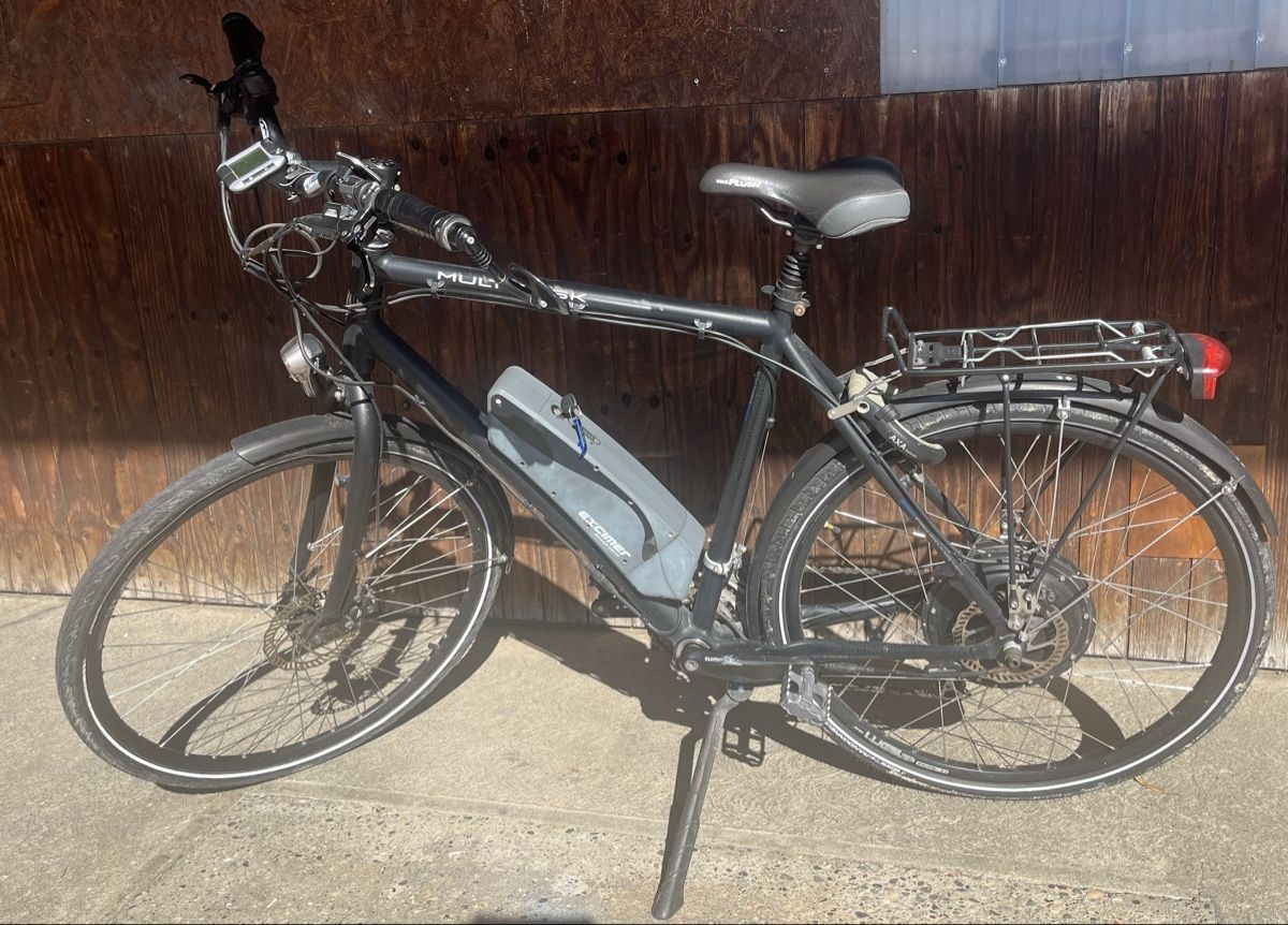 Veicoli elettrici: E-Bike Multitask 350W gebraucht – Usato da Niederbipp venduto da Wilma_ruh
