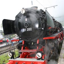 Profile image of stadumaa