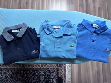 Orginal Lacoste Polo Shirt 