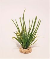 Deko Pflanze Ocean Large 21 cm *AUSVERKAUF*