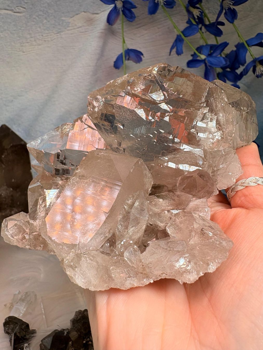 Pietre preziose: Rauchquarz Gwindel Grimelpass – Nuovo e nell'imballaggio originale da Neuheim venduto da m.hald 3