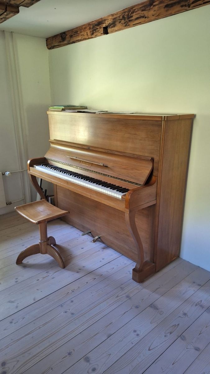 Strumenti musicali: Klavier – Usato da Wila venduto da arl_5fm9 1