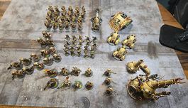 Warhammer 40k Death Guard (ca. 2460pkt. vollständig bemalt)