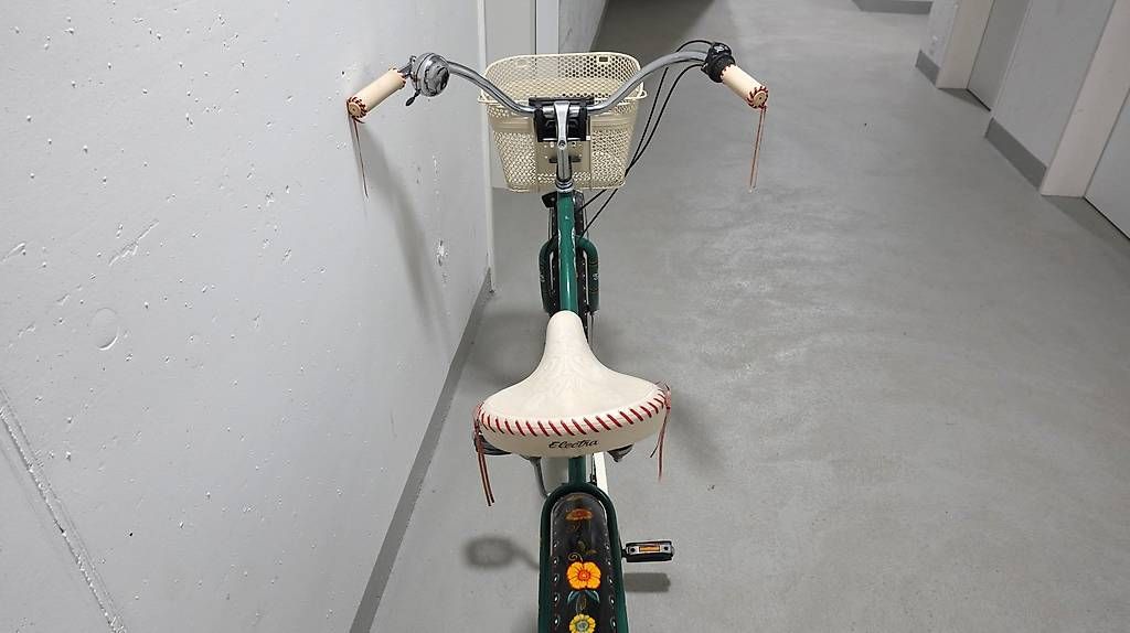Biciclette: Damenfahrrad Electra – Usato da Uster venduto da Blake13 2