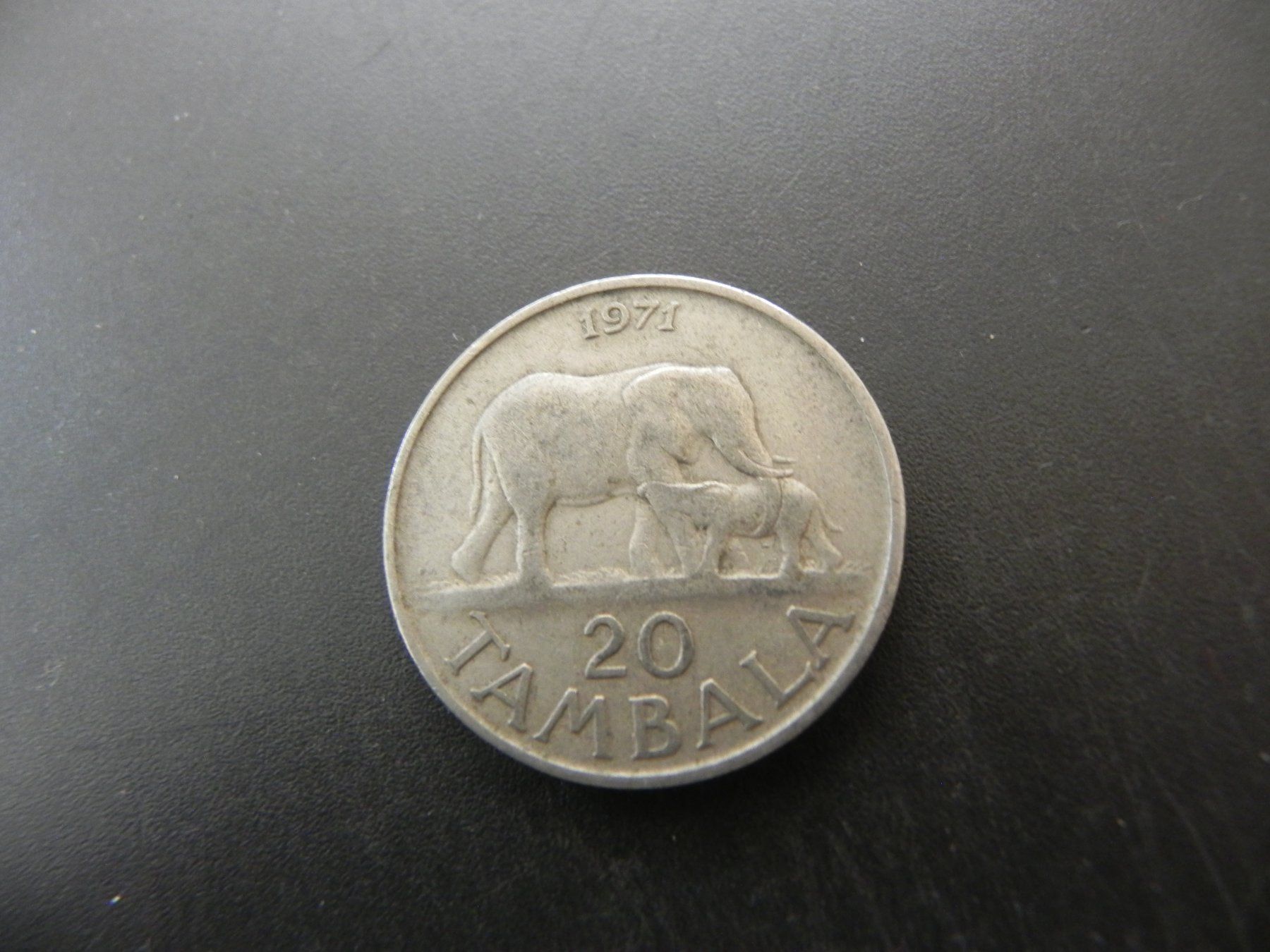 Tutti le monete: Malawi 20 Tambala 1971 – Usato da Biel/Bienne venduto da Gogolozi