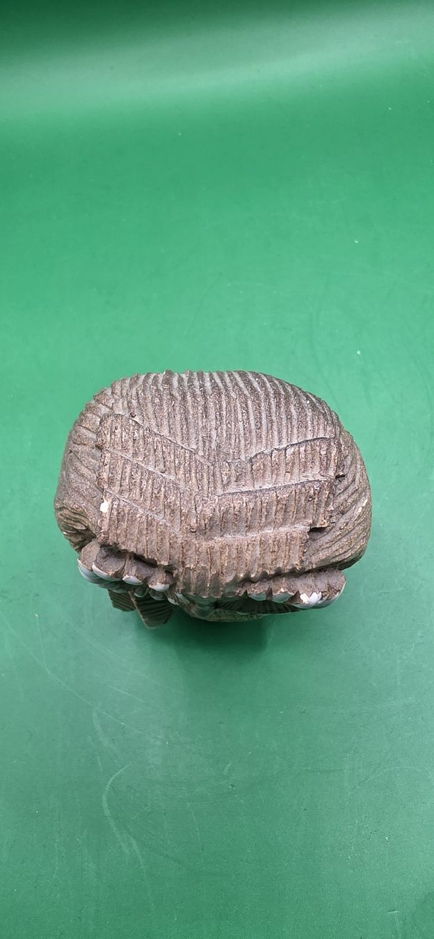 Figuren: Artesania Rinconada Pottery Eulen Figur – Gebraucht aus Zürich von Daniela51 3