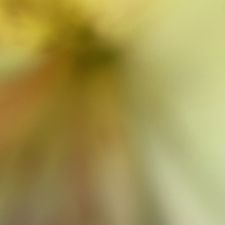 Profile image of mashascloset