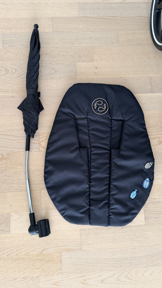 Cybex Carrozzine: Cybex e Priam Kinderwagen mit elektrischen Antrieb – Usato da Wallisellen venduto da kar_gv8n 4