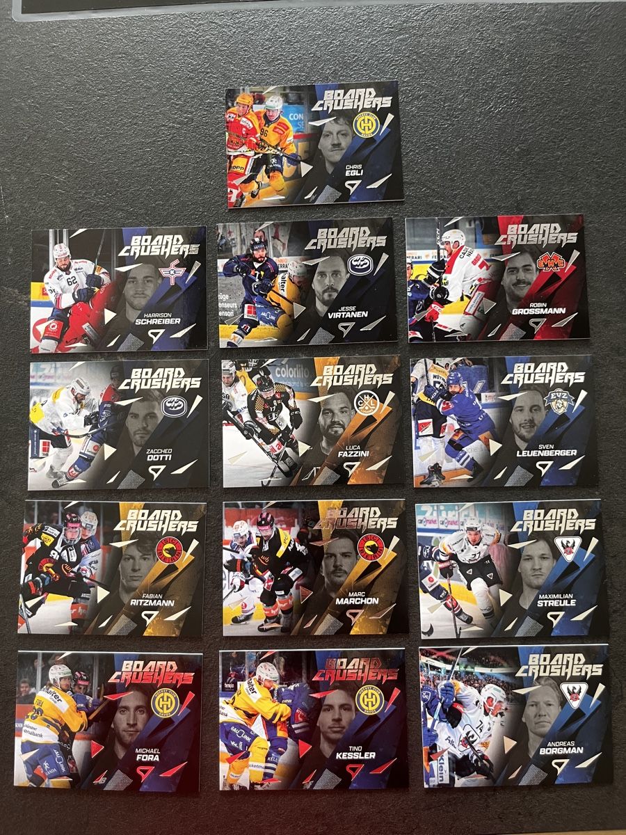 Sportzoo Carte collezionabili: 24/25 Sportzoo Board Crushers – Usato da Alterswil FR venduto da fasel11