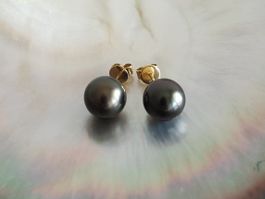 Traumhafte Tahitiperlen Ohrstecker, 18K Gold