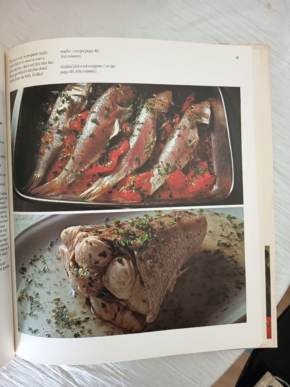 Bücher: Kochbuch Eastern Mediterranean Cooking gebraucht – Gebraucht aus Wangen b. Olten von crea_look 5