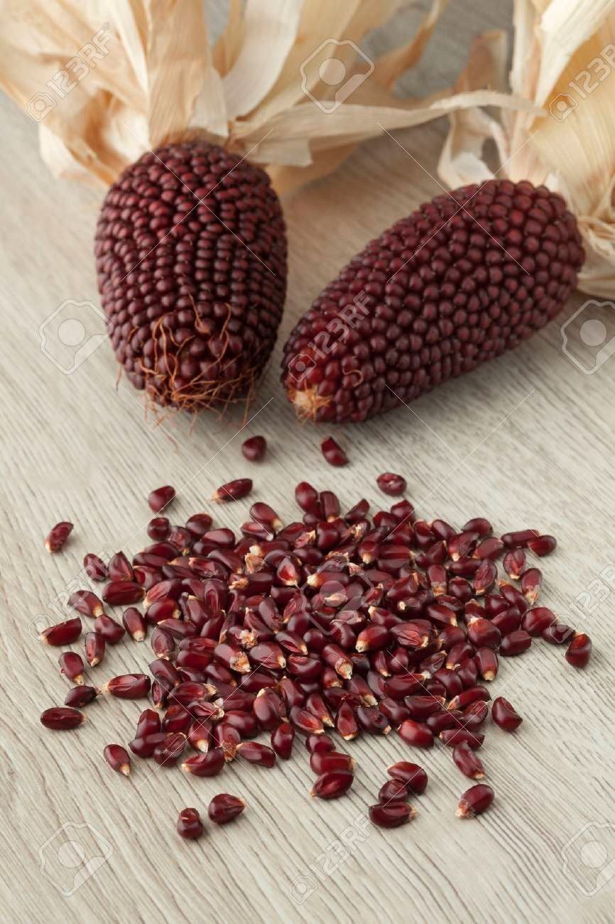Piante & sementi: 40 Samen STRAWBERRY CORN Mais – Nuovo (secondo la descrizione) da Ehrendingen venduto da VerveinaSamen 2