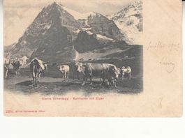 Kleine Scheidegg 1902 mit Bahnstempel Wengernalp