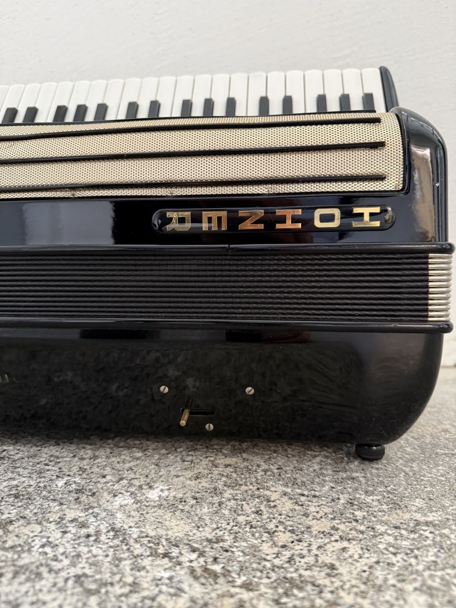 Strumenti musicali: Elektronium mit Röhrenverstärker – Difettoso da Herrliberg venduto da Bio3 4
