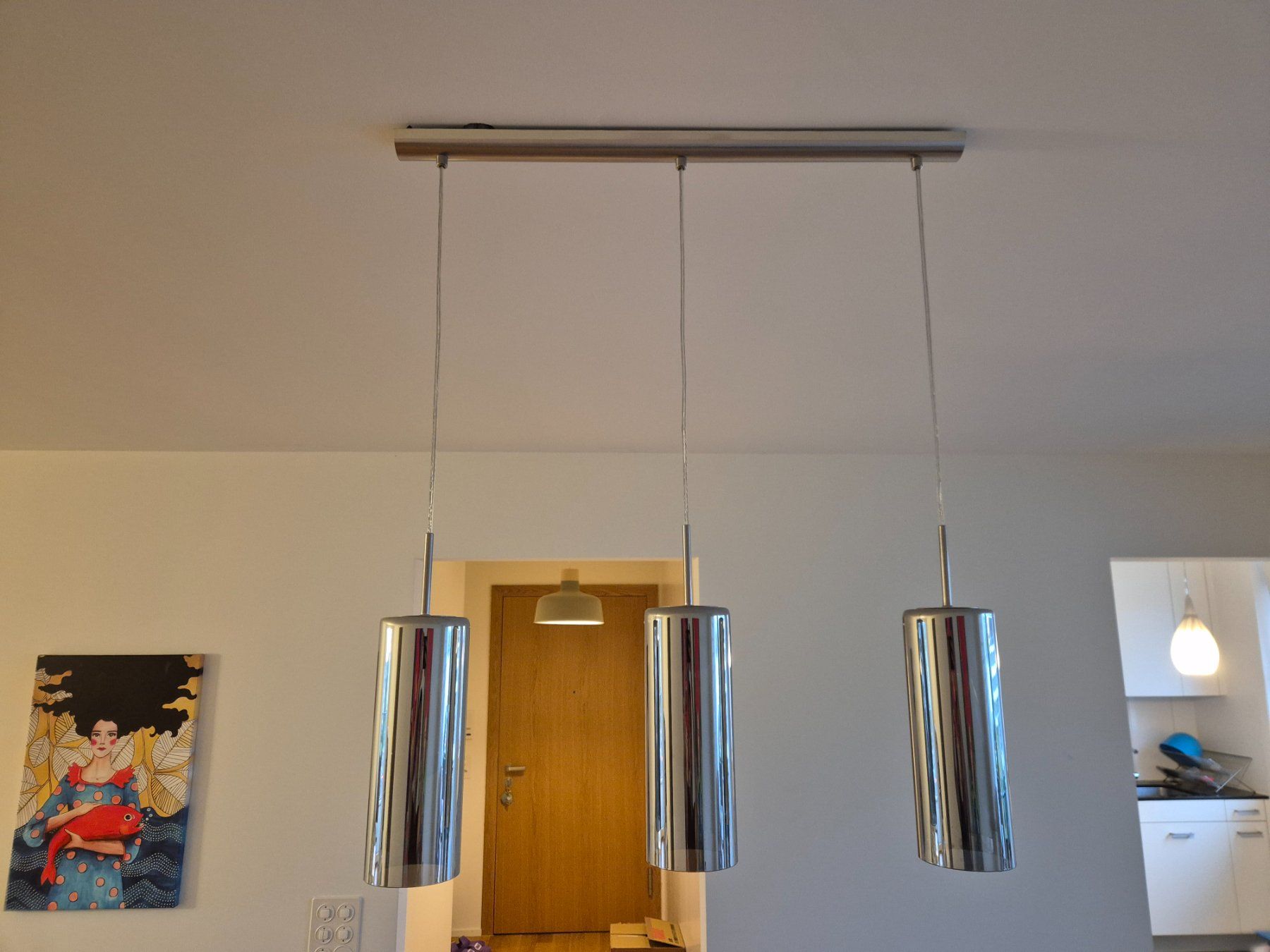 Lustres & lampes de plafonds: Hängeleuchte – D'occasion à Zürich par safetyfirst 1