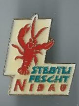 Placchette & Badge: Stedli Fescht Nibau Pin – Usato da Zürich venduto da t24_de