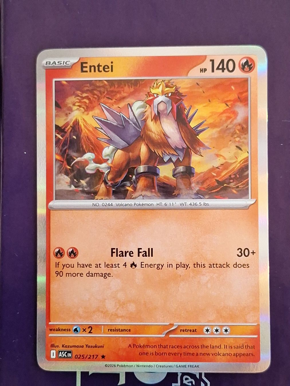 Pokémon Carte collezionabili: Entei Holo - Pokemon Ascended Heroes – Usato da Altstätten SG venduto da GGsGameshop