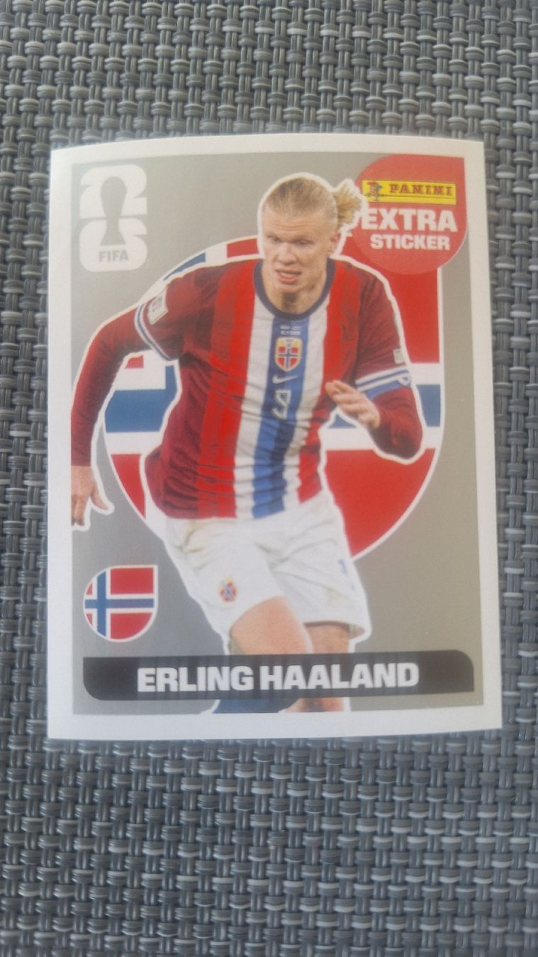 Panini Carte collezionabili: Panini Extra Sticker Haaland silber – Usato da Zürich venduto da Vittel6