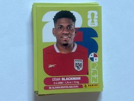 Panini WM 2026 Sticker - Blackman PAN 9