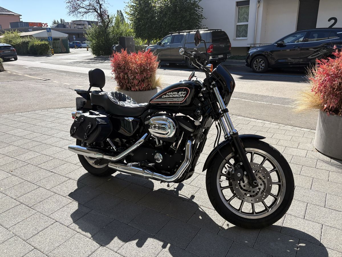 Harley-Davidson Cruisers: Harley Davidson XL883R – D'occasion à Cormondrèche par Mr.Douny