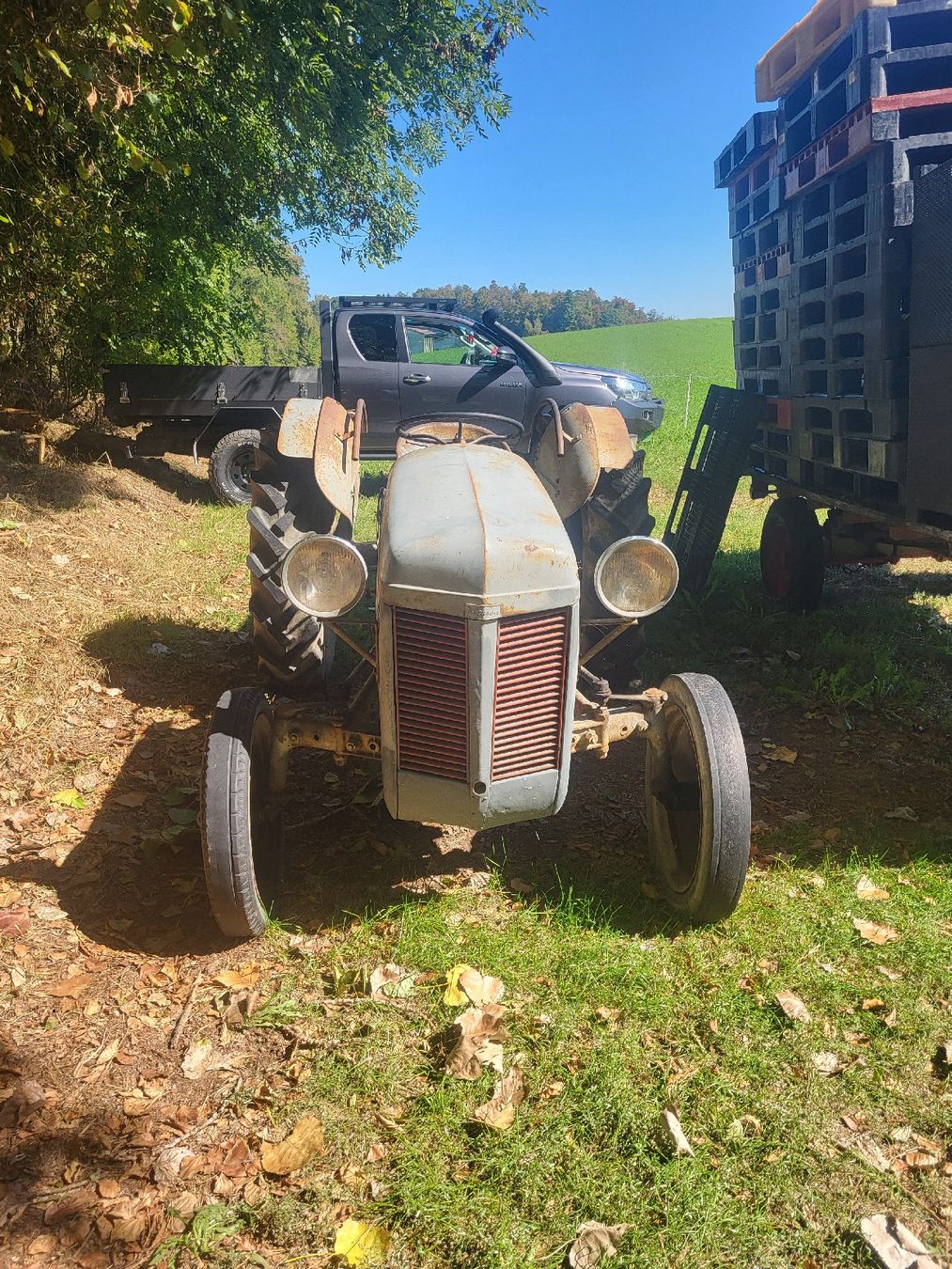Massey Ferguson Trattori: tracteur Massey – Usato da Montbrelloz venduto da vin_fcv9 1