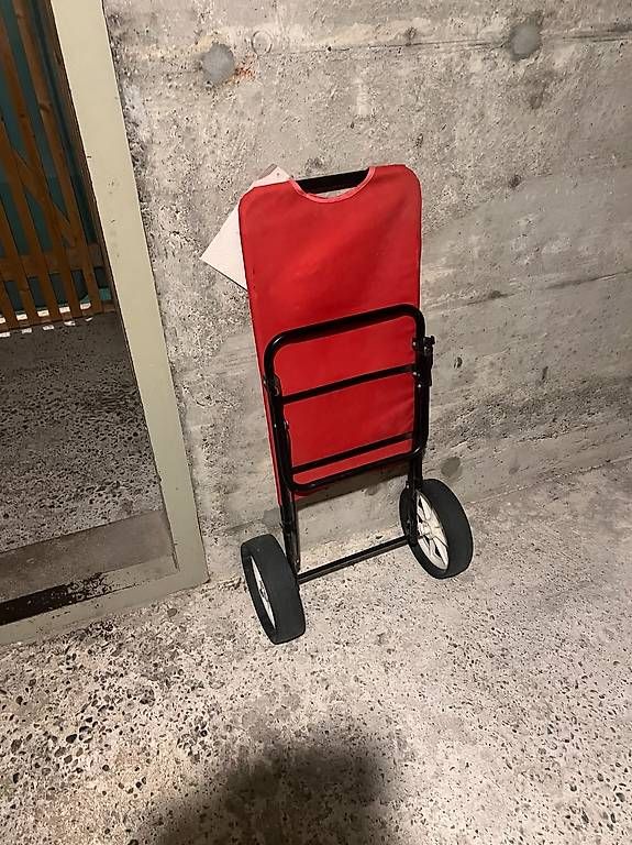 Valigie & Borse: Campingtrolley / Strandwagen – Usato da Ittigen venduto da football102013 1