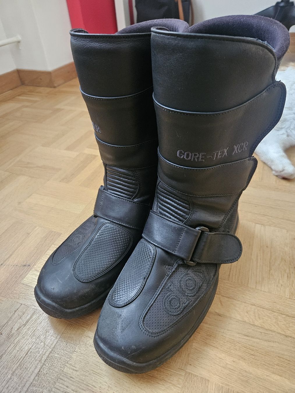 Scarpe da uomo: Daytona Motorradschuhe Gr. 41 – Usato da Zürich venduto da Mel666