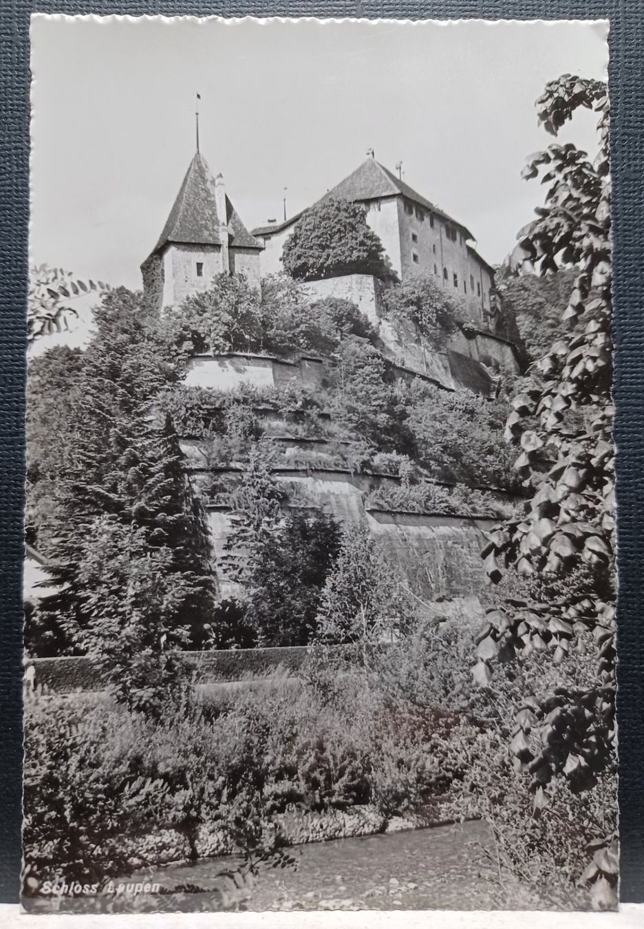 Cartoline postali: No. p 03432, Schloss Laupen BE – Usato da Aarau Rohr venduto da mgvw