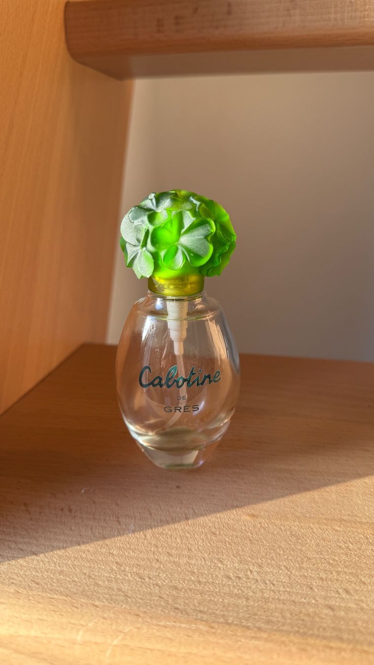 Flacons: Cabotine de Grès - Flacon de 50 ml vide – Gebraucht aus Yverdon-les-Bains von _sabrinah_
