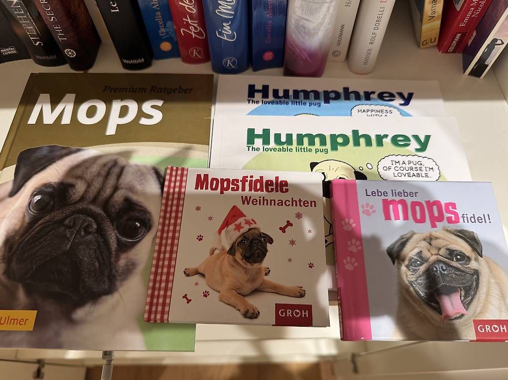 Libri: Viele Bücher – Usato da Zofingen venduto da marcogerigerlach 2