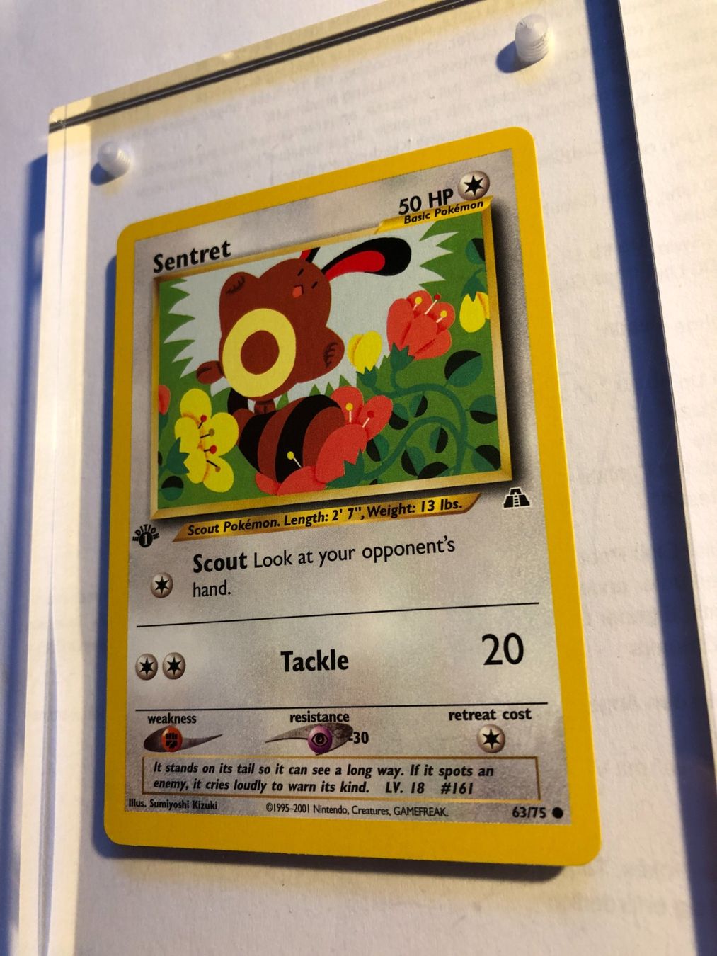 Cartes à collectionner: Sentret 1st Neo Discovery - MINT - ab 1.- – D'occasion à Giubiasco par dan_pr8b 2
