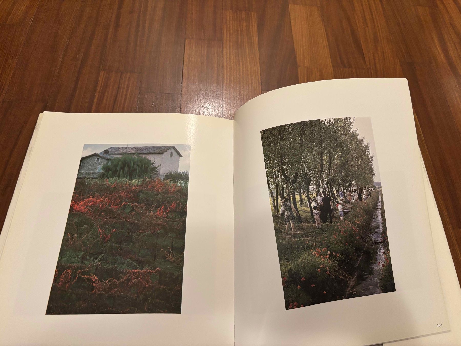 Libri: La Nostra Terra – Usato da Lugano venduto da Mark_Young 3