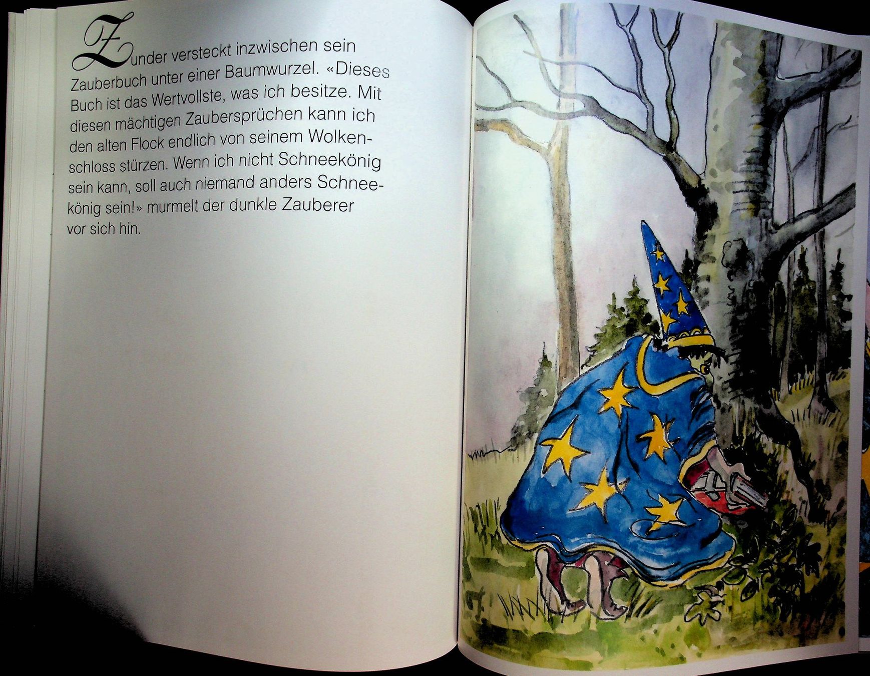 Bücher: Walter Bühler Schneekönig Flock / RAR – Gebraucht aus Reitnau von Zaomir 7