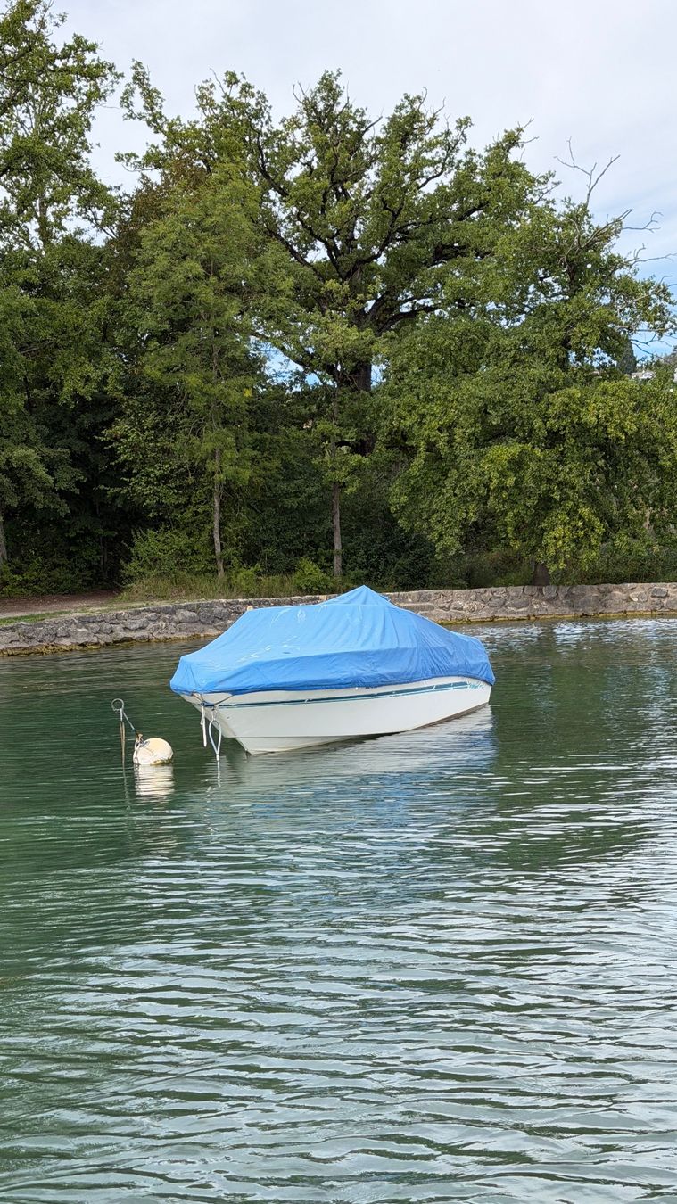 Cranchi Barche: Motorboot - Cranchi Derby 700 optional mit Trailer – Usato da Münchenbuchsee venduto da grossen-3054 6
