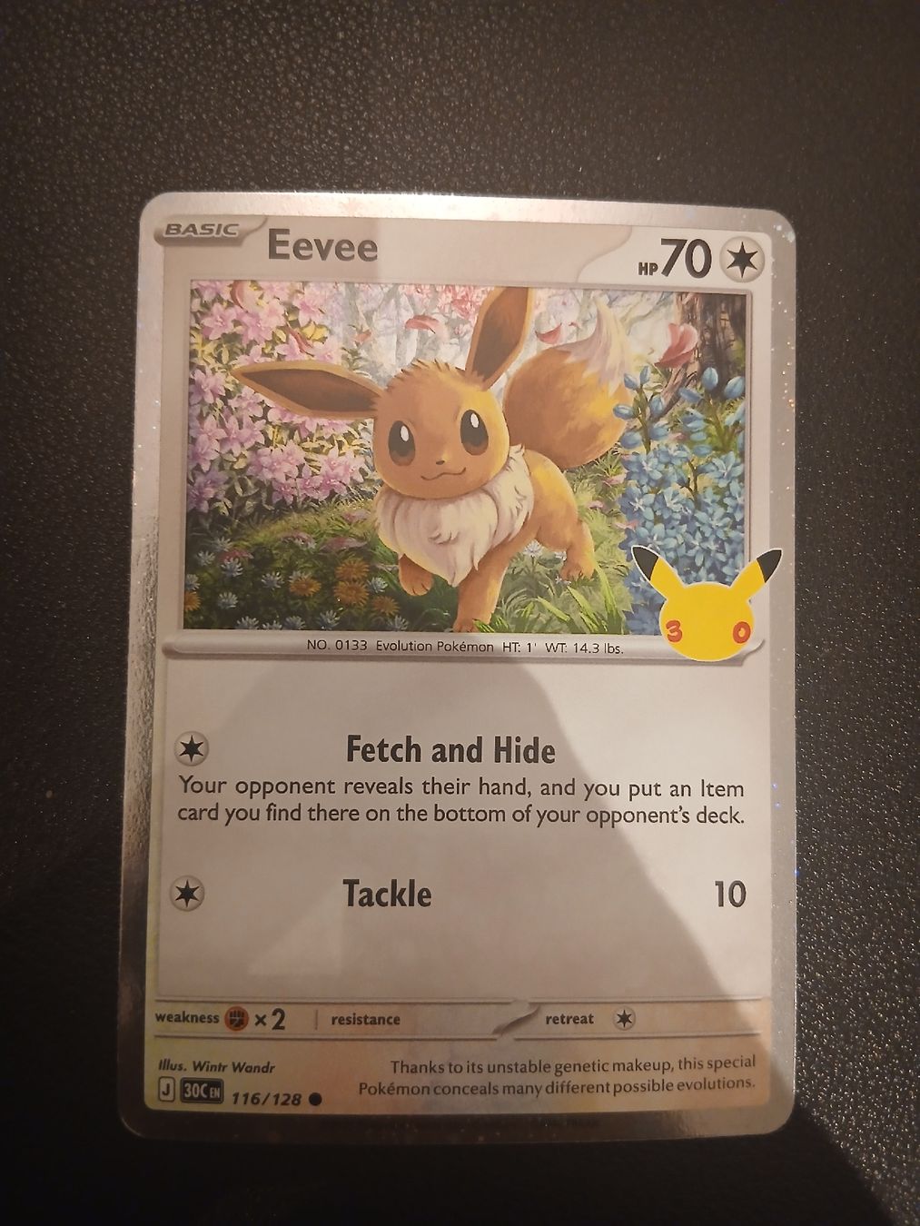 Pokémon Carte collezionabili: Eevee Pokémon 30th Celebration Englisch – Nuovo (secondo la descrizione) da Regensdorf venduto da Baba_Basar