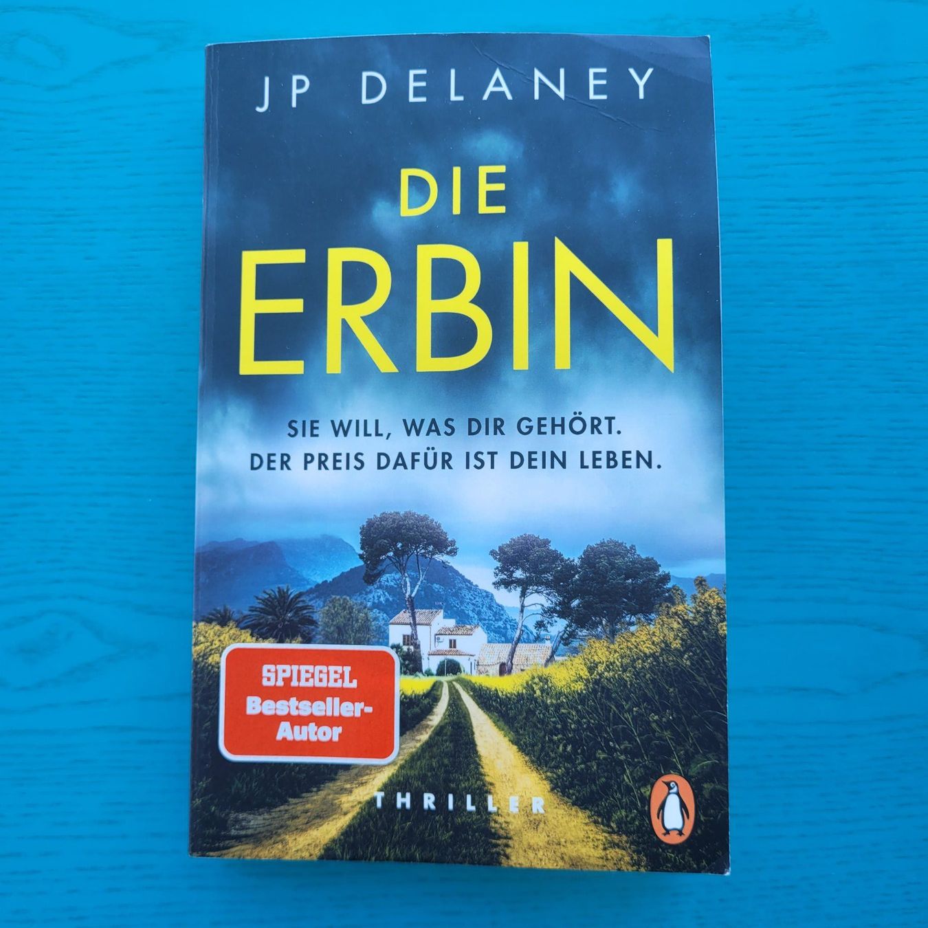 Livres: J.P. Delaney- Die Erbin  / Thriller – D'occasion à SCHÜBELBACH par CoKaHa