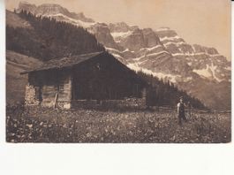Braunwald Ohrenplatte 1911
