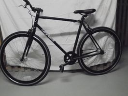 Leoprad Urban