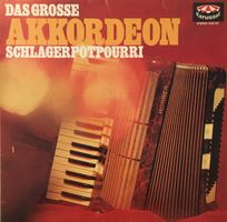 Das grosse Akkordeon Schlager-Potpourri (LP)