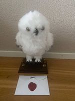 Harry Potter Enchanting Hedwig