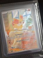 Pokemon -  Fynx / Blackstar Promo DE