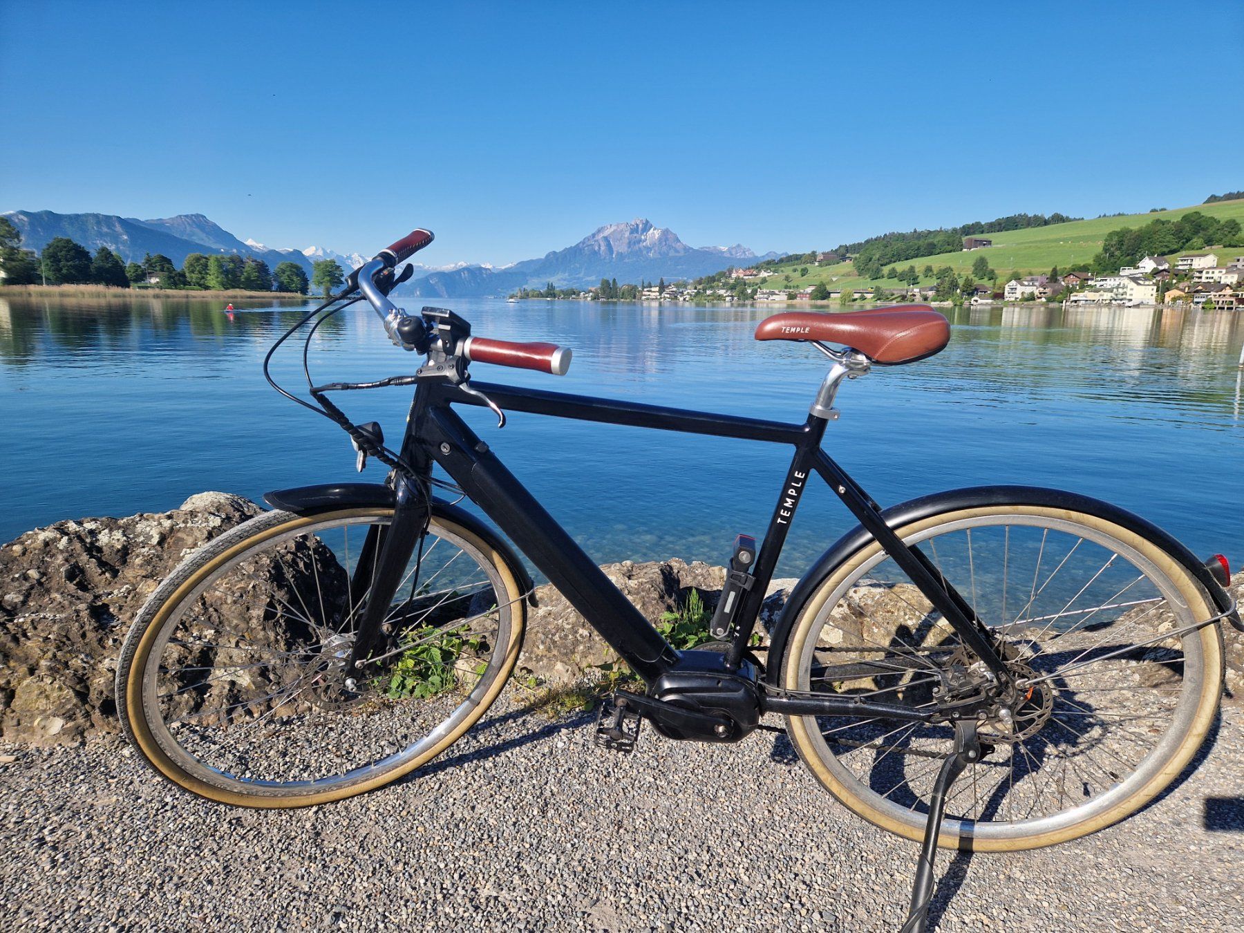 Vélos: Temple Electric Classic E-Bike – D'occasion à Meggen par sandra2710 3